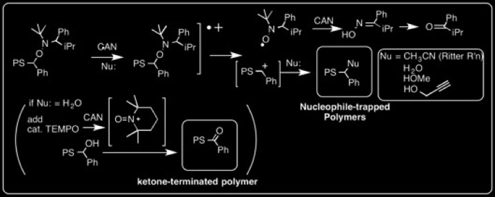 Braslau Group: α-H Nitroxides in NMP